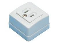 Domestic Blade Model Outlet-Exposed Outlet/2-Prong, 2-Prong + Ground Model