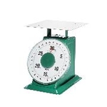 Large Automatic Scale