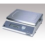 Precision Platform Scale