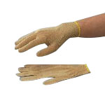 Cleanroom Gloves (1-6271-01)