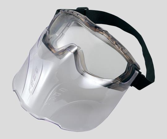Face Protection 