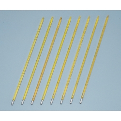 Standard thermometer