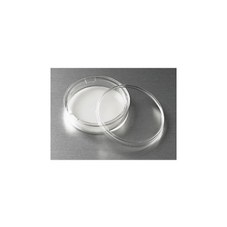 Transwell 100-Mm Dish Cell Culture Surface Treated