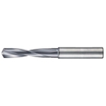 End Mill Shank Drill 3 × D for Carbide Processing H 1946 (1946-008.600) 