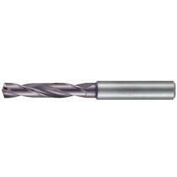 End Mill Shank Drill 3 × D, with Oil Hole RT100U 5510 (5510-005.550) 