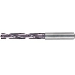 End Mill Shank Drill 5 × D with Oil Hole RT100U 5511 (5511-005.000) 