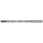 End Mill Shank Drill 12 × D, with Oil Hole, RT 100 Double Margin 5525 (5525-005.100) 