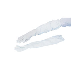 Vinyl Gloves, 240 [Long Type, No Fleece Lining]
