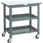 Workbench Auxiliary Tables/Trolleys, Uniform Load 100 kg (WHT-4560)
