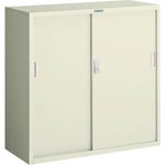 Chemical Resistant Cabinet, Steel (T-306D)