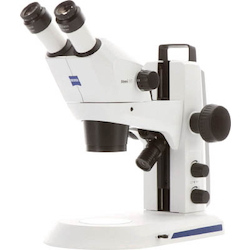 Greenough stereomicroscope Stemi305 (spot illumination)