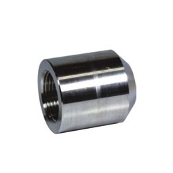 Screw-in Fitting PT BS / Boss Coupling for High Pressure (PTBS-10A-SU6L) 