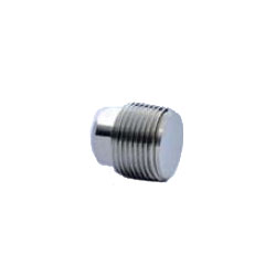Stainless Steel Screw-in Pipe Fitting, Square Plug P Type (304P-65) 