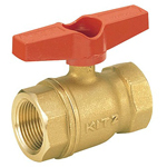 Brass General-Purpose Type 400 Screw-in Ball Valve (T-Shaped Handle) (TT-40A) 