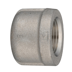 Stainless Steel Screw-in Fitting, Cap (PCM-20A) 