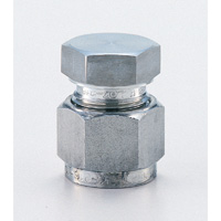 Stainless Steel High Pressure Fitting Cap (KC-6) 