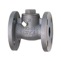 Stainless Steel General-Purpose 10K Swing Check (SCS13A) Valve Flange (UOB-20A) 