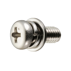Screw with Washer