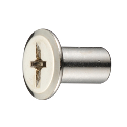 Joint Connector Decorative Nut, Cross-Head/Straight-Slot (+-) (JCBDNT-STGJB-M6-17) 