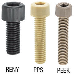 Plastic Hex Socket Head Cap Screws/PEEK/PPS/RENY (RENB8-20) 