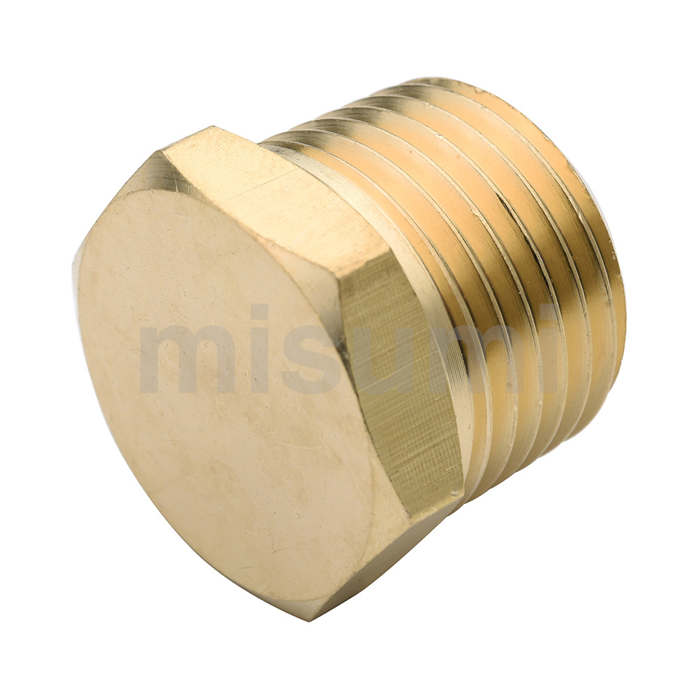 Brass Screw-In Fittings Male Plug (E-SJSPG10A) 