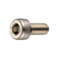 Hex Socket Head Cap Screw (Electroless Nickel Plating) - SNS-EL (SNS-M3X6-EL) 