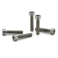 Hex Socket Head Cap Screw (SUS310S) - SNSJ