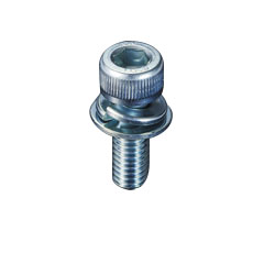 Hex Socket Head Cap Bolts With Embedded Washer (CSW-06-18) 