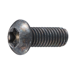 Button Head Screw with TORX Hole