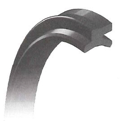 LBH, Dust Seal (Integrated Groove Mounting) (CL0100-C0) 