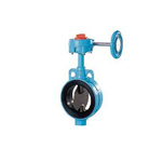 Butterfly Valve 602A-G (Gear Type), Rubber Seated (602A-G-8B-5K) 