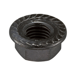 Flanged Nut with Serrations, Details (FNTS-ST3W-MS10) 