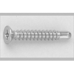 Cross Recessed Small Flat Head Tapping Screws, 2 Models with Guide, BRP Shape, G=5 D=7 (CSPLCSB7-SUS-TP4-30) 
