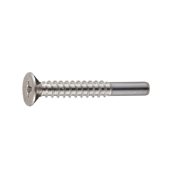 Cross Recessed Flat Head Tapping Screws, 2 Models with Guide, BRP Shape, G=10 (CSPCSSG-SUS-TP4-25) 