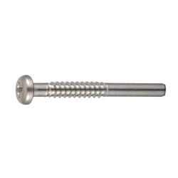 Cross Recessed Pan Head Tapping Screw, Type 2 with Guide/Neck BNRP Shape, G=20 
