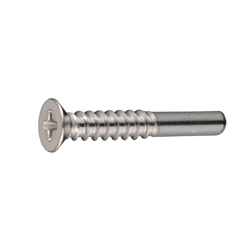 Type 2-BRP Phillips Small Flat Head Tapping Screw with Guide, G = 10