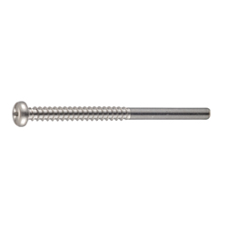 Cross/Straight-Recessed Pan Head Tapping Screw Class 2 with Guide BPR Model G=25