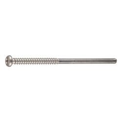 Cross/Straight-Recessed Pan Head Tapping Screw Class 2 with Guide BPR Model G=40 