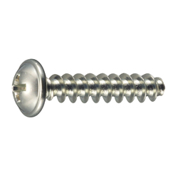 PT Screw (1411-H2) with Phillips Head