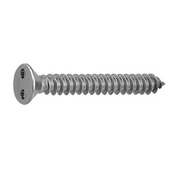 TRF/Tamper-Proof Screw, Stainless Steel, Two-Hole, Plate Tapping Screw (4 models, AB type) (CS2CST-SUS-TP3.5-20) 