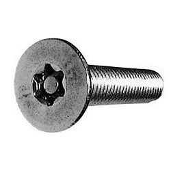 TRF/Tamper-Proof Screw, Stainless Steel Pin, Small Plate TRX Screw (CSXCSHP-SUS-M3-25) 