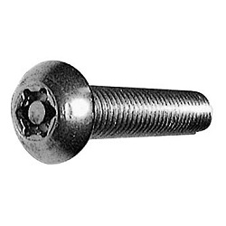 TRF/Tamper-Proof Screw, Stainless Steel Pin, Small Button TRX Screw (CSXBTHP-SUS-M5-30) 