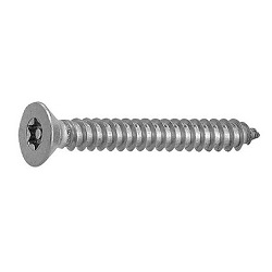 TRF/Tamper-Proof Screw, Stainless Steel Pin, Small TRX and Plate Tapping Screw (4 models, AB type) (CSXCST-SUS-TP4.8-13) 