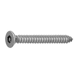 TRF/Tamper-Proof Screw, Stainless Steel Pin with Hexagonal Hole, Small Plate Tapping Screw (4 models, AB type) (CSRCST-SUS-TP3.5-20) 