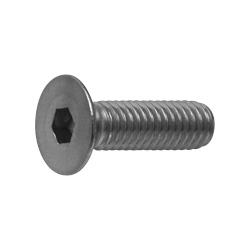 Steel Hex Socket Head Bolt (Plate Cap Screw) (JIS Standard) (CSHCSH-ST-M6-18) 