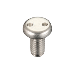 Two-Hole Pan Head Tamper-Proof Screw (SP010416) 