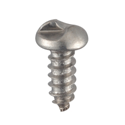 Tamper-Proof Screw One Side Round Head Tapping (OW014220) 