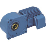 SG-P1 Hollow Shaft Gear Motor, Orthogonal, Hollow shaft (TMHFB-04-80) 