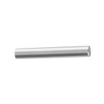 Stainless Steel Parallel Pin (Hard) (161510125010) 