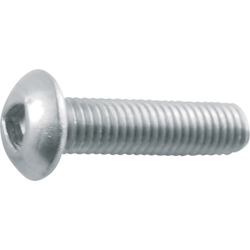 Triangular hole button bolt (stainless steel) (B101-0510) 